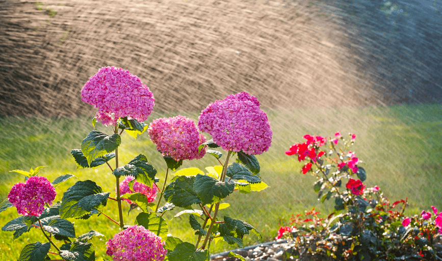 SPRINKLER LEAK REPAIR