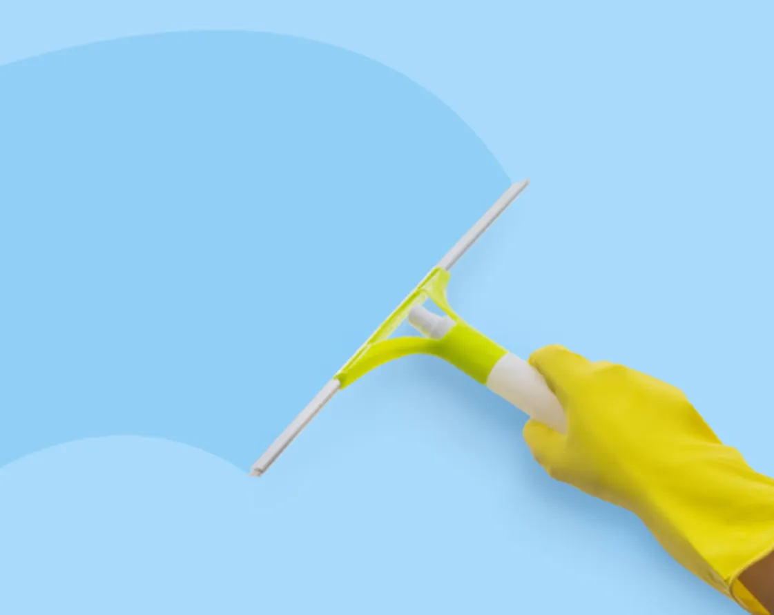 WINDOW CLEANING WINDOW CLEANING