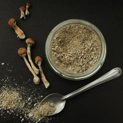 FUNCTIONAL MUSHROOM POWDER