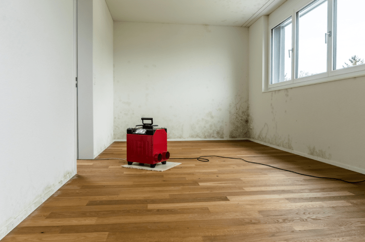 L&L Restoration Services