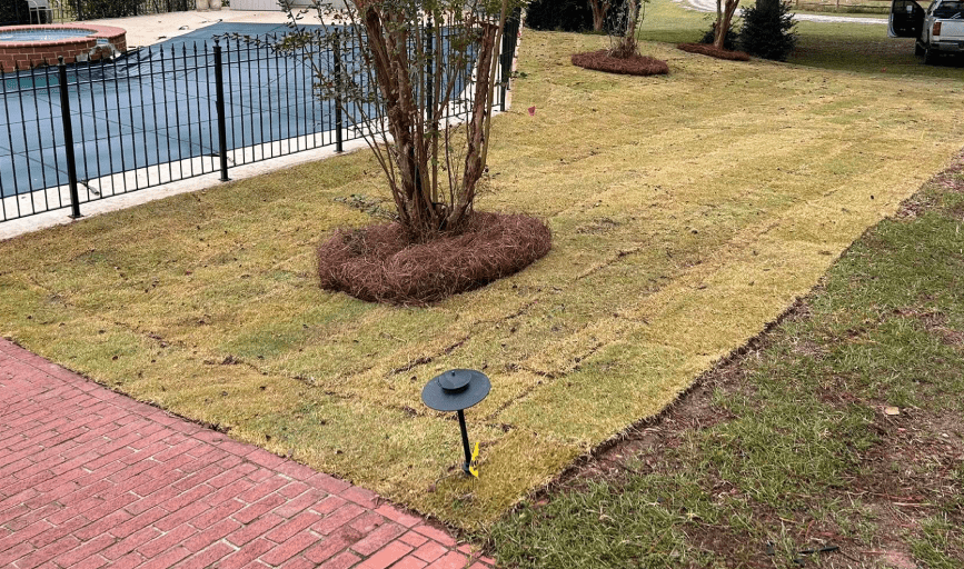 SOD INSTALLATION