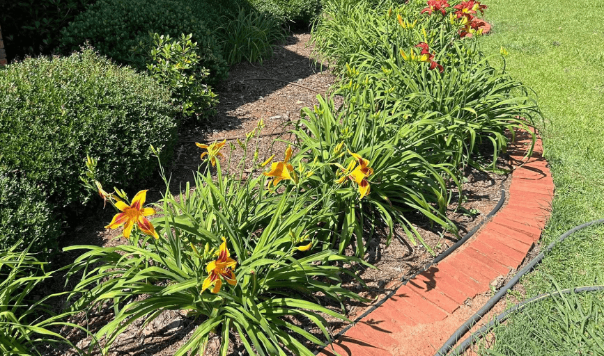 FLOWER BED INSTALLATION