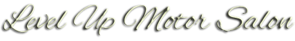 Level Up Motor Salon