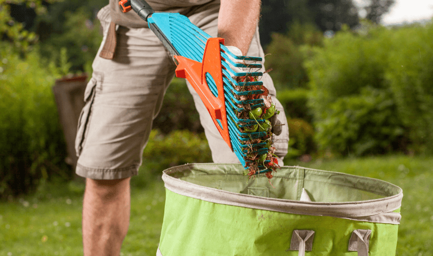 YARD CLEANUP SERVICES