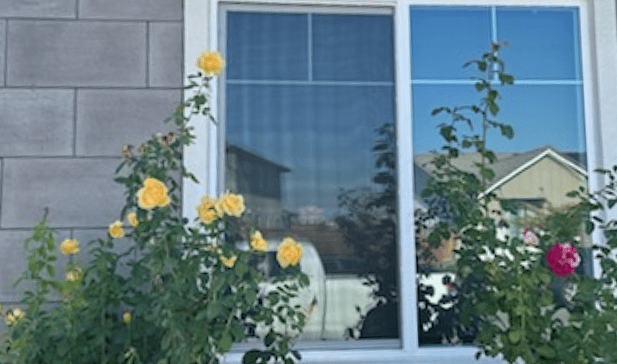 RESIDENTIAL WINDOW CLEANING