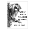 Green River Wildlife Removal
