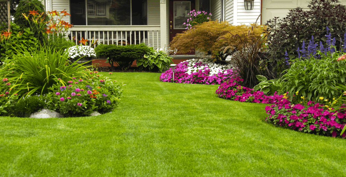 All Year Round Expert Luxury Landscaping