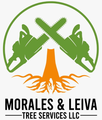 Morales & Leiva Tree Service