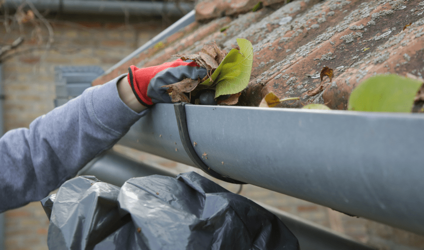 GUTTER CLEANING