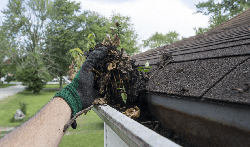 GUTTER CLEANING
