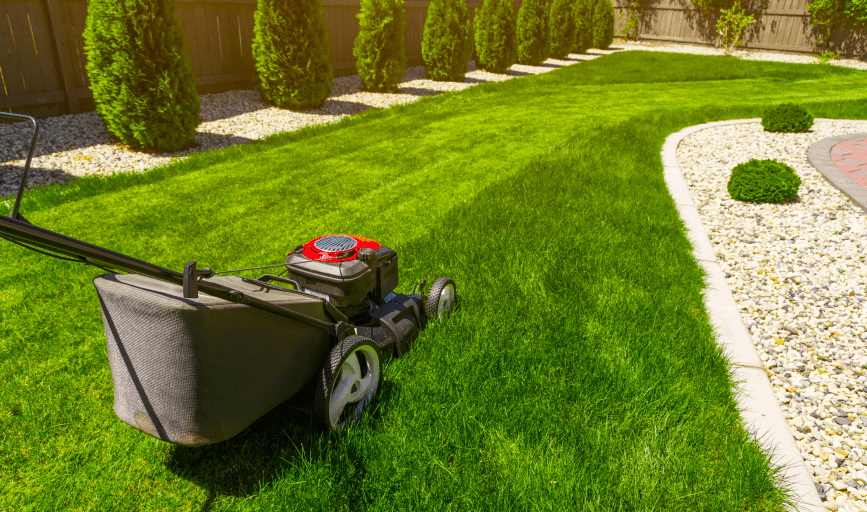 LAWN CARE