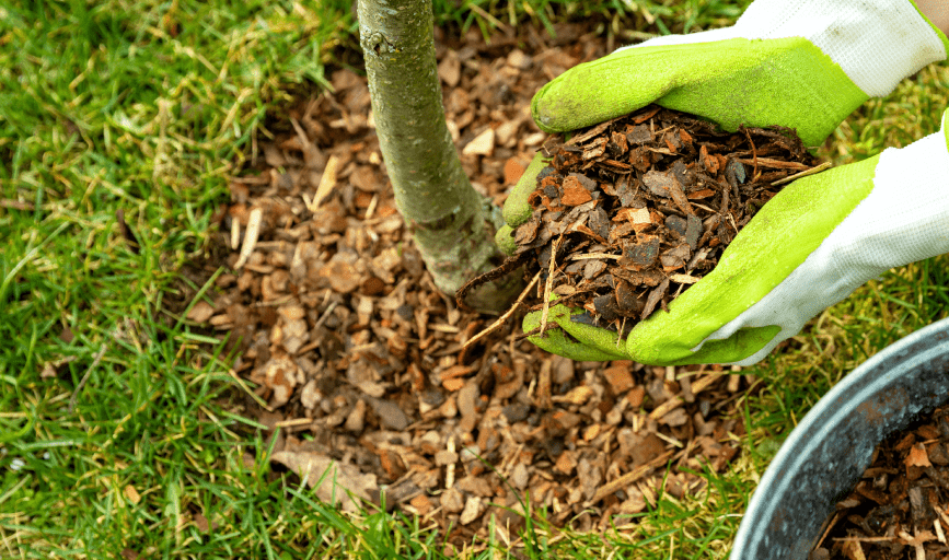 MULCHING SERVICES