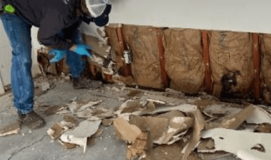 WATER AND DAMAGE RESTORATION