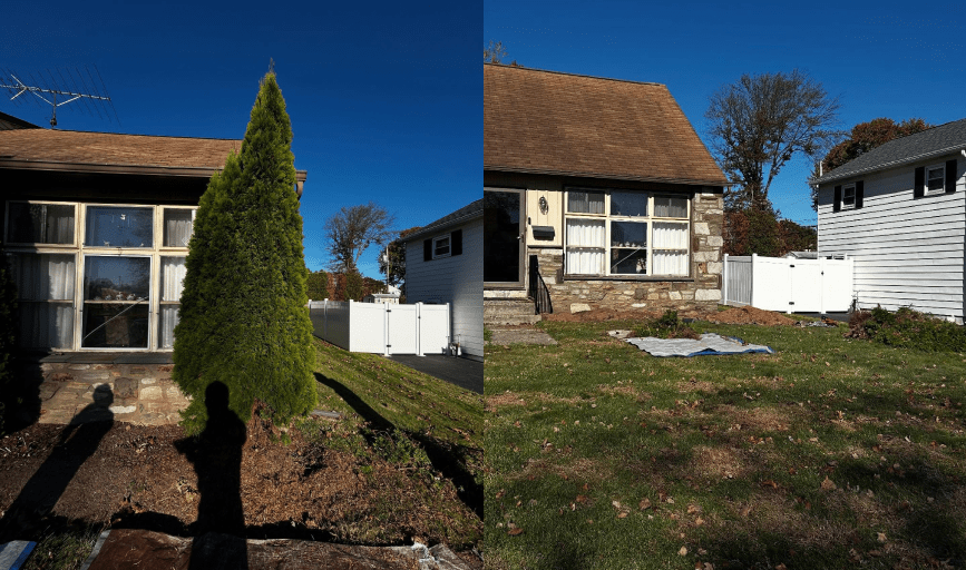 Crown & Root Tree Works