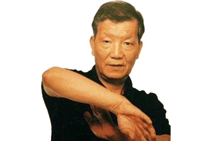 Starlings WingChun KungFu