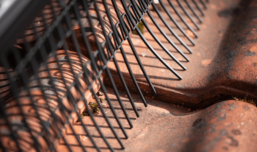 SOLAR PANEL BIRD PROOFING