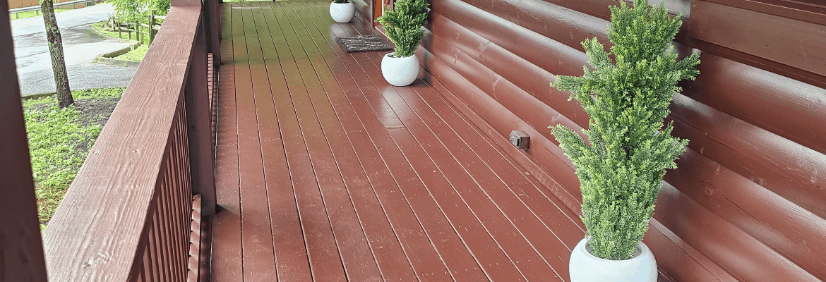 Whales Painting Services