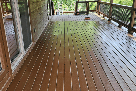 Whales Painting Services