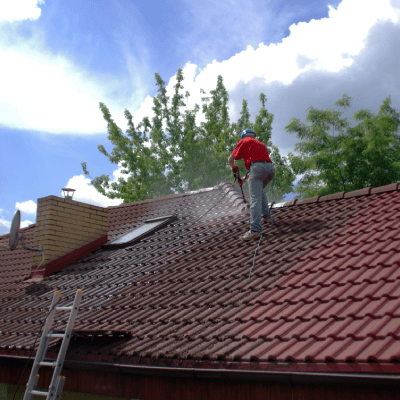ROOF CLEANING