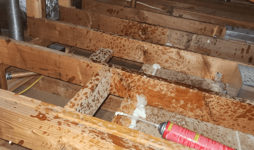 CRAWL SPACE INSULATION
