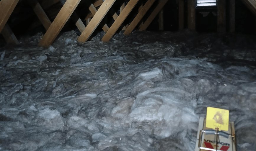 ATTIC INSULATION REPLACEMENT