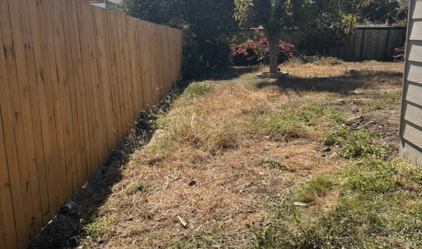 YARD DEBRIS REMOVAL