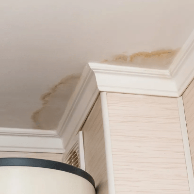 WATER RESTORATION SERVICES