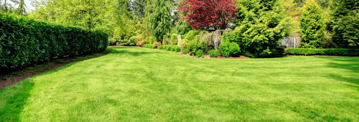 Figueroa G Landscaping