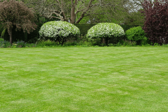 Figueroa G Landscaping