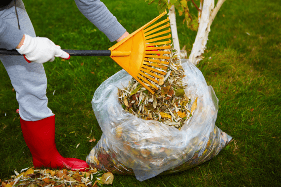 Figueroa G Landscaping