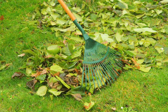 Figueroa G Landscaping