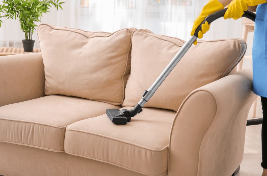 Upholstery Cleaning