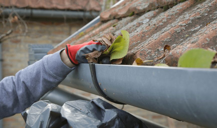 GUTTER CLEANING