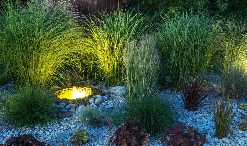 LANDSCAPE LIGHTING/p>