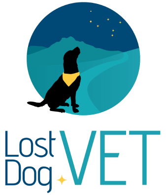 Lost Dog Vet