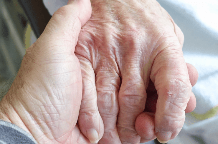 Valley Adult Day Health Care