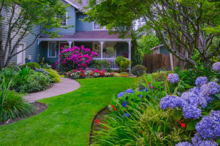 Martinez Pro Landscaping