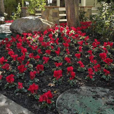 LANDSCAPE INSTALLATION