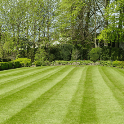 LAWN MAINTENANCE
