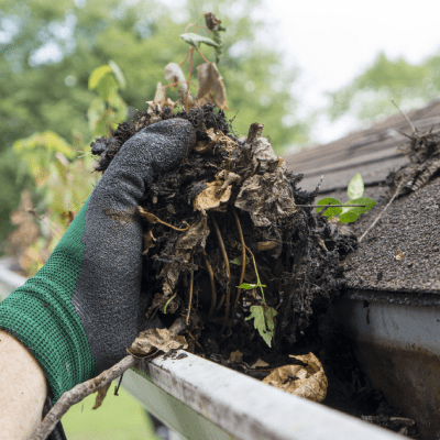 SEAMLESS GUTTER CLEANING