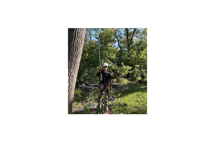 Meraki Tree Care and Landscaping