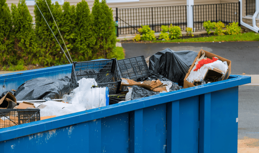 DUMPSTER RENTAL