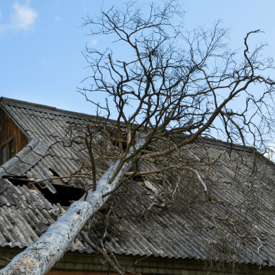 STORM DAMAGE ROOF REPAIR