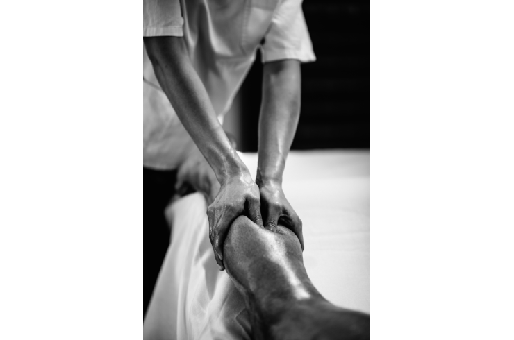 Prolific Healing & ReQovery