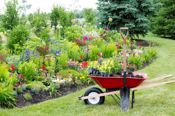 Garden Maintenance and Landscaping
