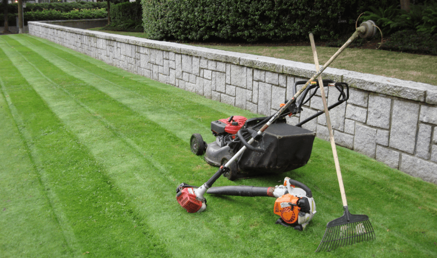 LAWN CARE SERVICES