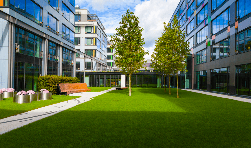 COMMERCIAL LAWN CARE