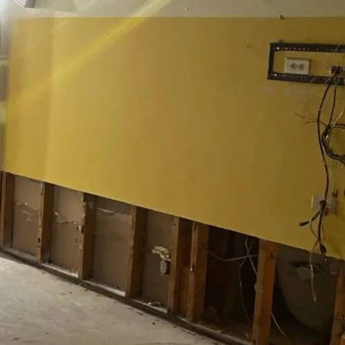 MOLD REMOVAL SERVICES