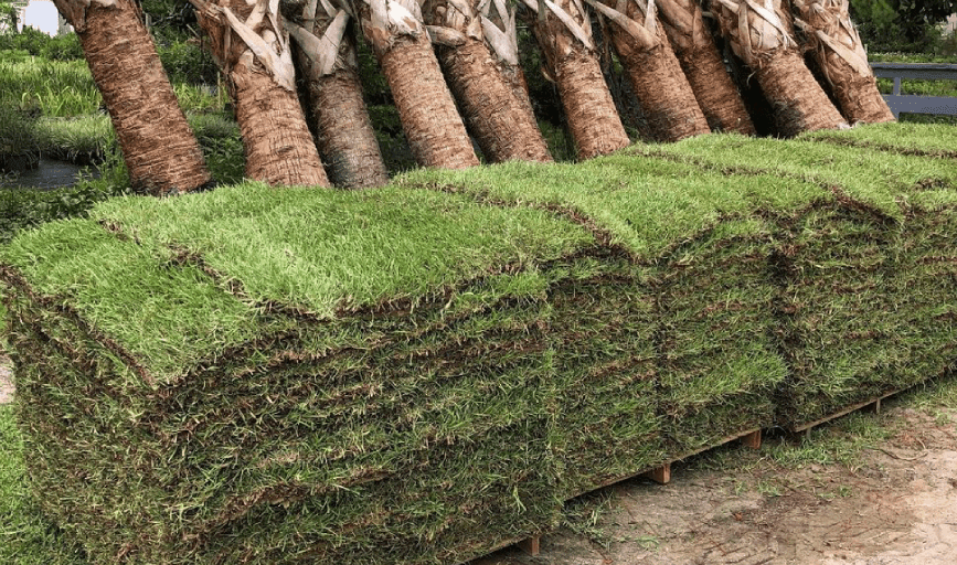 LANDSCAPE INSTALLATION