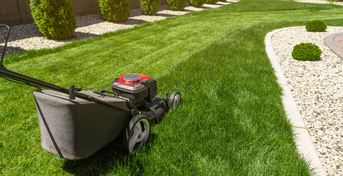 A Clean Slate Cleaning and Services